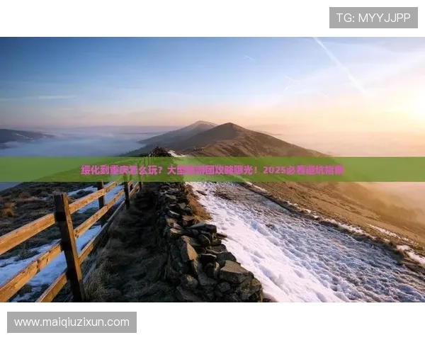玩球波胆最高能中多少避坑指南极速提现秘籍
